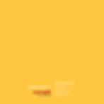 Flower Yellow TL