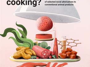 La ONU afirma que las alternativas vegetales podrían ayudar a frenar las emisiones perjudiciales