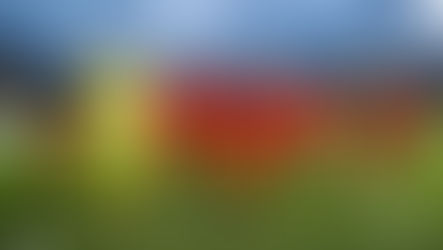 Nach Niederlage in Elversberg: "Haben unsere Grenzen aufgezeigt bekommen"