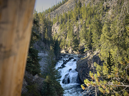 Yellowstone National Park - 1.9.2023