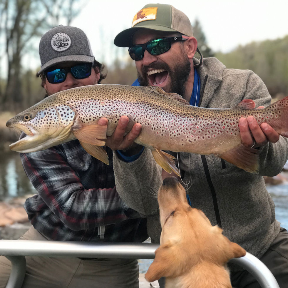 Colorado