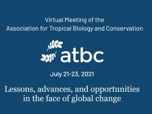 JULY 2021 - Join our Symposium on "Agroforestry Systems in the Decade of UN Ecosystem Restoration"