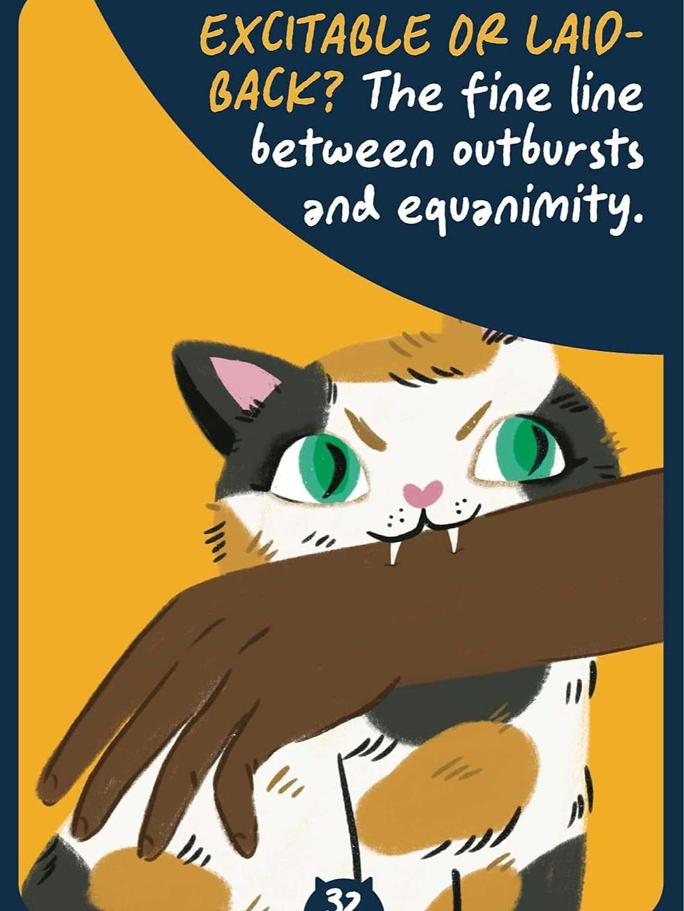 Thumbnail: Cat Wisdom Oracle: 45 feline messages to get some meow in your life (Rockpool