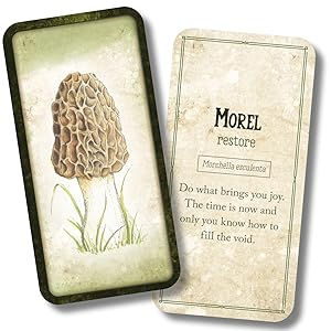 Thumbnail: Mushroom Affirmations (Rockpool Mini Cards)