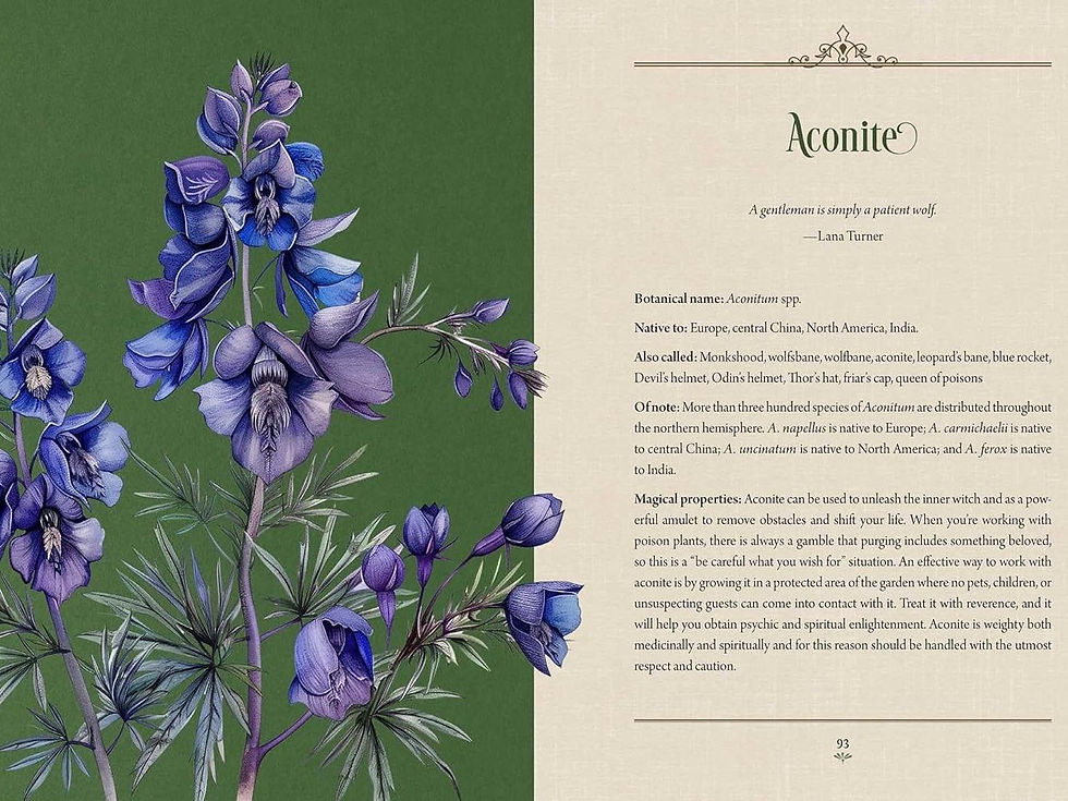 Thumbnail: Enchanted Plants: A Treasury of Botanical Folklore and Magic