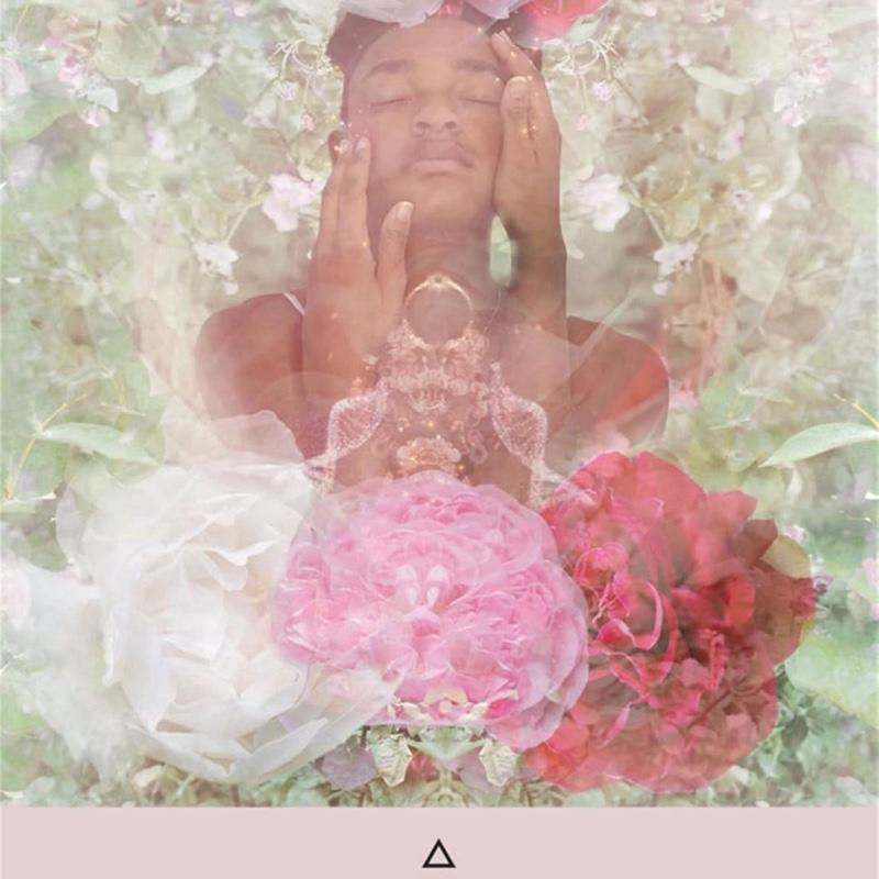 Thumbnail: The Rose Pocket Oracle: A 44-Card Deck & Guidebook in Compact Tin for Spiritual