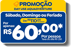 60 REAIS.png