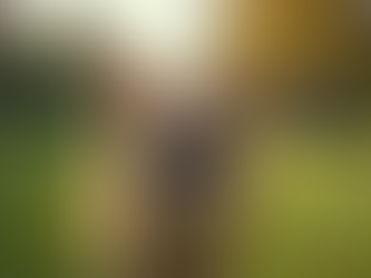 Understanding Common Dog Behaviour Issues