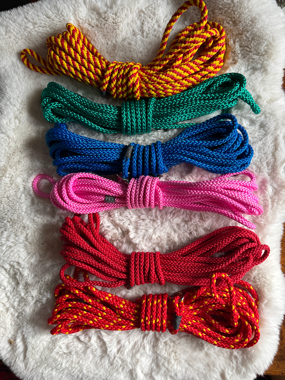 10-Metre Long Line (8 mm) — Build a Brilliant Recall