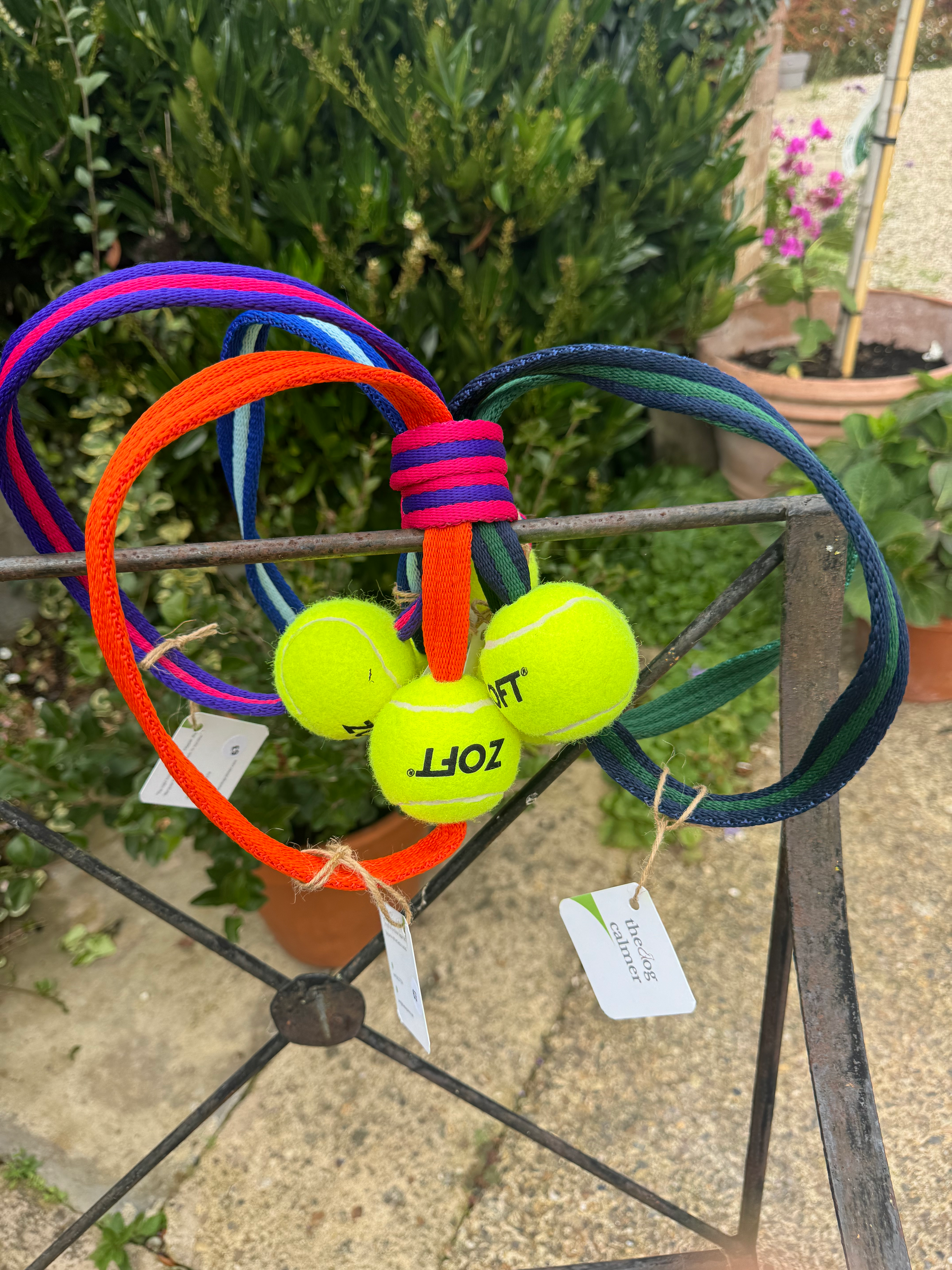 Tennis Ball on a Loop