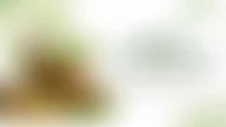 10 Popular Ayurvedic Brands for Everyday Health and Wellness in India