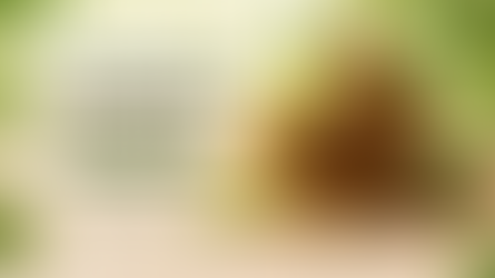 Triphala Benefits: A Complete Guide to Digestive and Gut Health