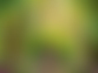 Eine etwas andere Geschichte über Schneewittchen