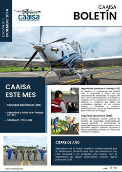 BOLETÍN CAAISA DICIEMBRE