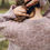 Miniaturbild: Field Notes: 20 Textured Knits for Everyday Beauty