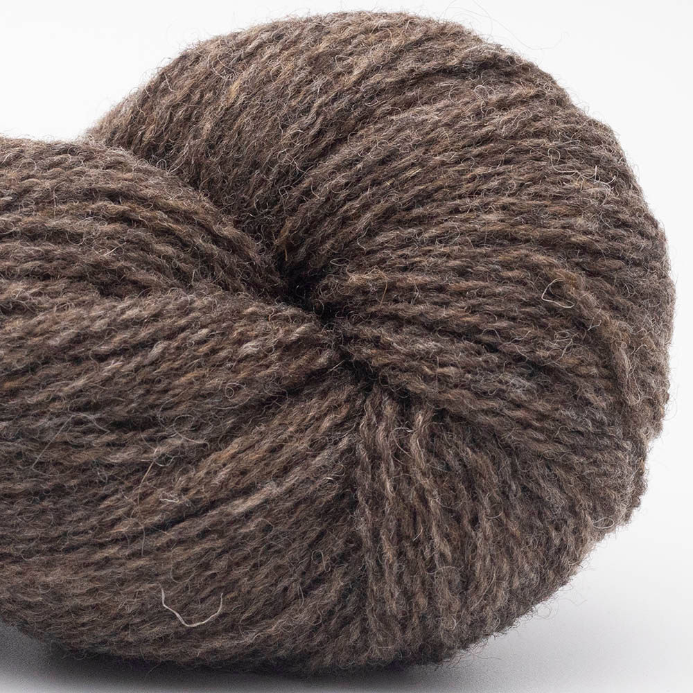 Bio Shetland 07