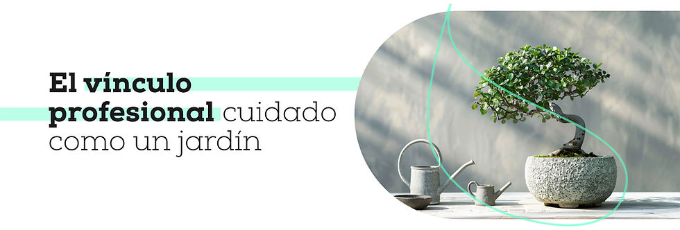 vínculo profesional