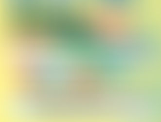 New！追加開催決定！学校説明会