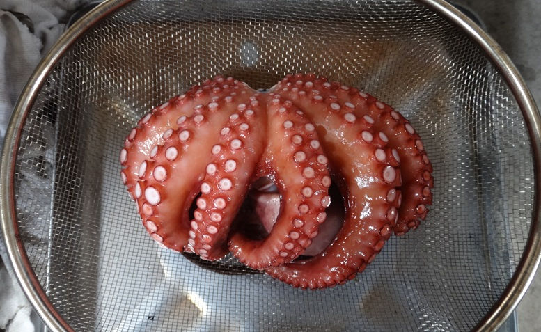 過熱蒸気でタコの熱処理