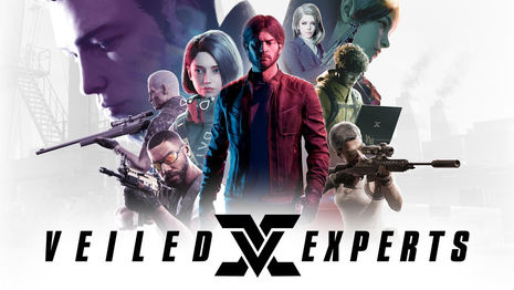 veiled experts.jpeg