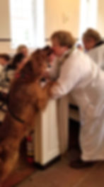 And some kiss the priest in gratitude for the blessing.