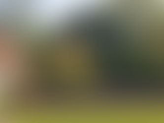 Our Historic Cemetery