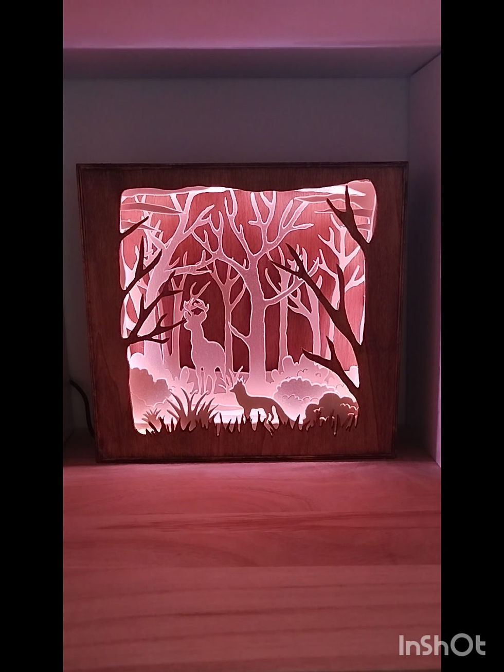 Miniature : Vidéo des jeux de lumière fondue de la lightbox forêt enchantée.