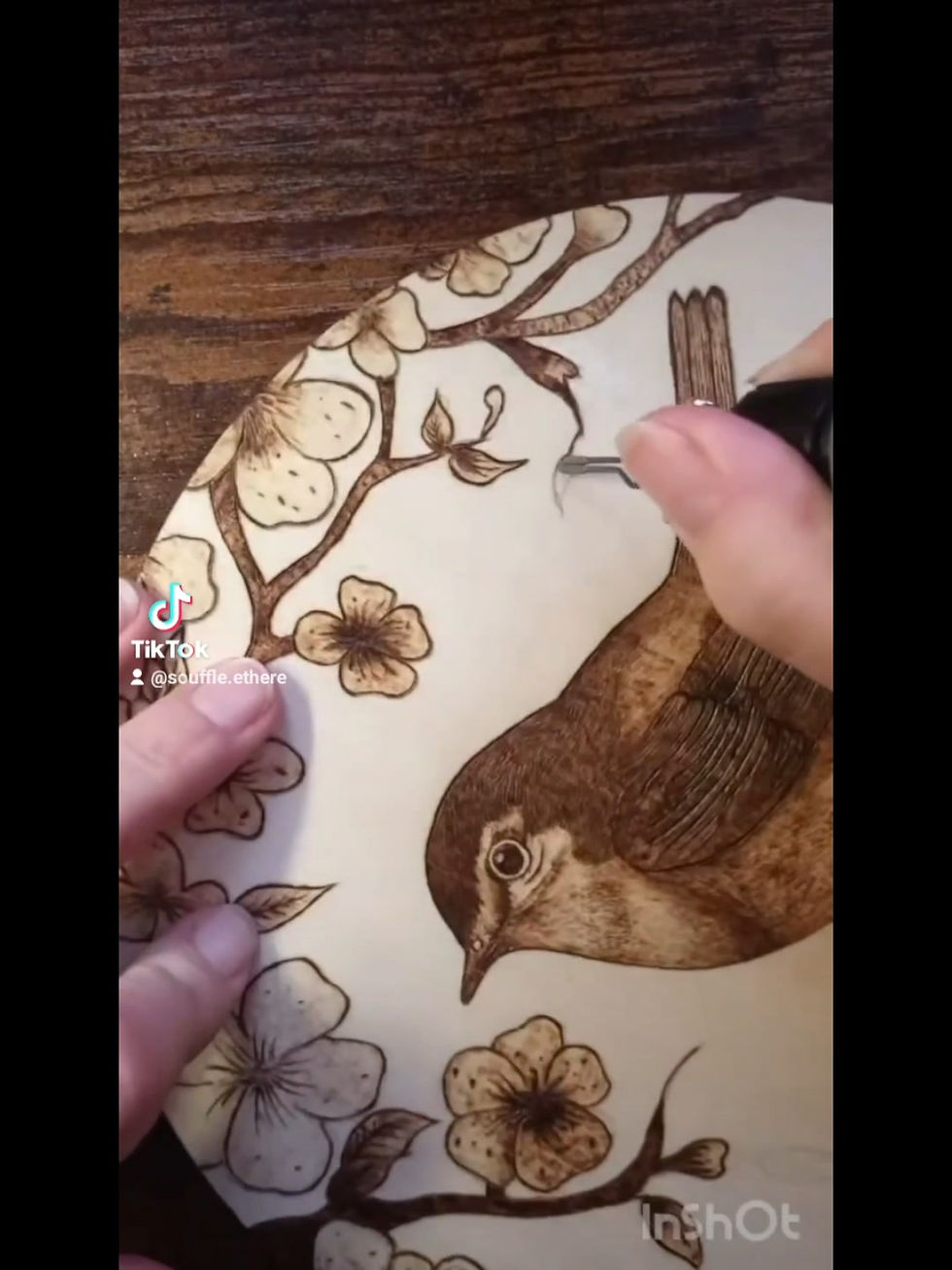 Miniature : Vidéo de souffle ethéré en train de pyrograver un rouge gorge sur une décoration murale.