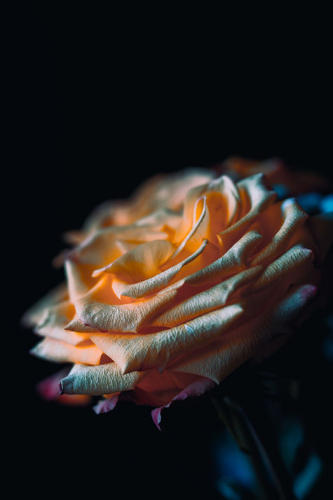 IMG_6501-Edit.jpg