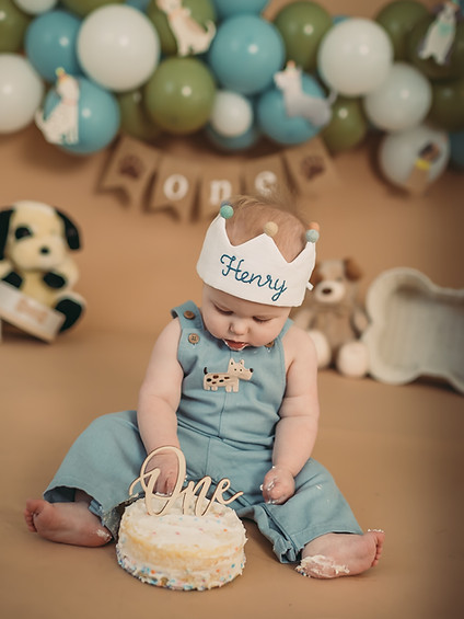 cake smash puppy