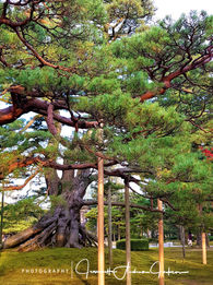 Kanazawa (金沢市, Kanazawa-shi) JAJ Sojourns Travel Photography