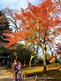 Kanazawa (金沢市, Kanazawa-shi) JAJ Sojourns Travel Photography