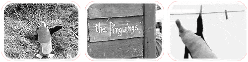 pingwings.gif
