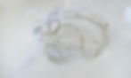 hair vines, Coppélia2.JPG
