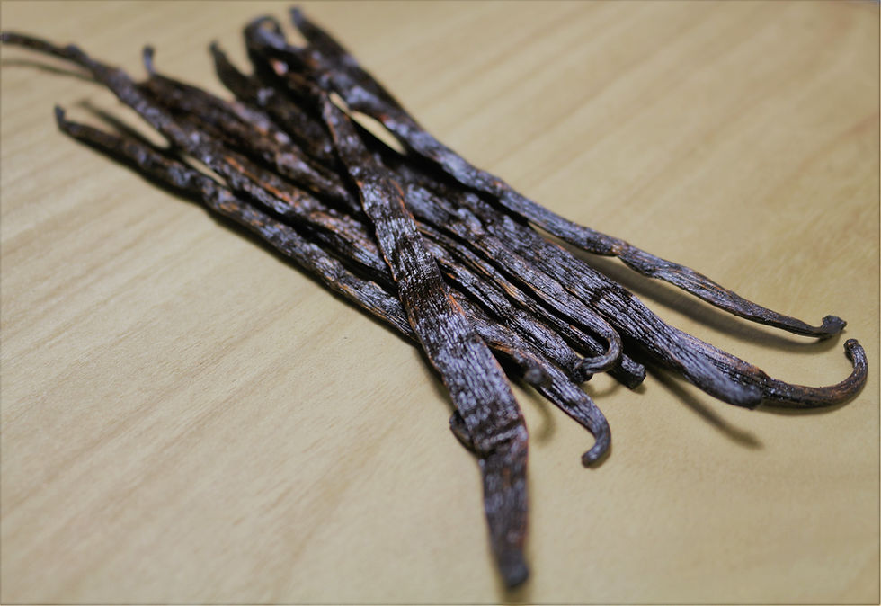 Vanilla Bean, Madagascar