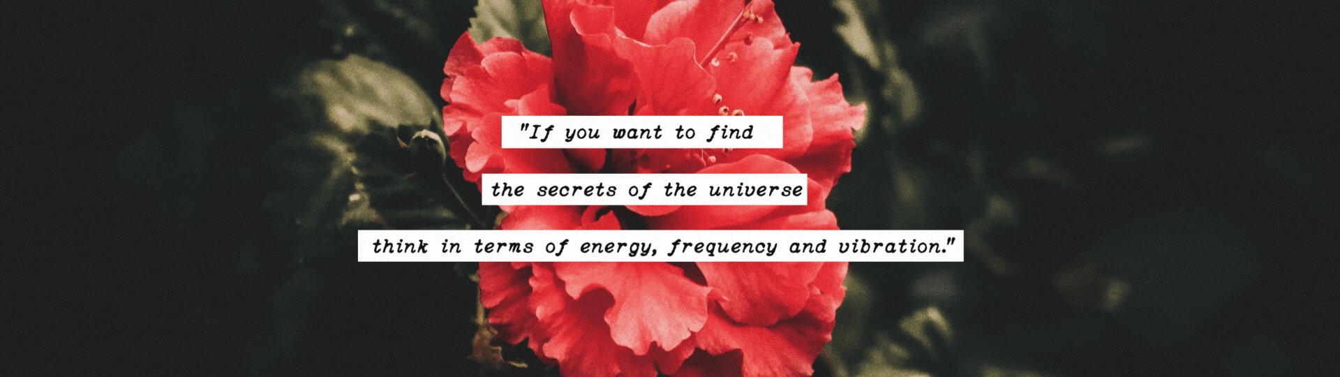 Copy of Copy of Filtered Lady Quote Desktop Wallpaper-5.gif