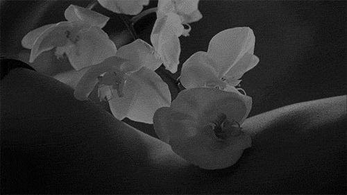 5632aaef7d7af1794ce9947a256f0fd3.gif