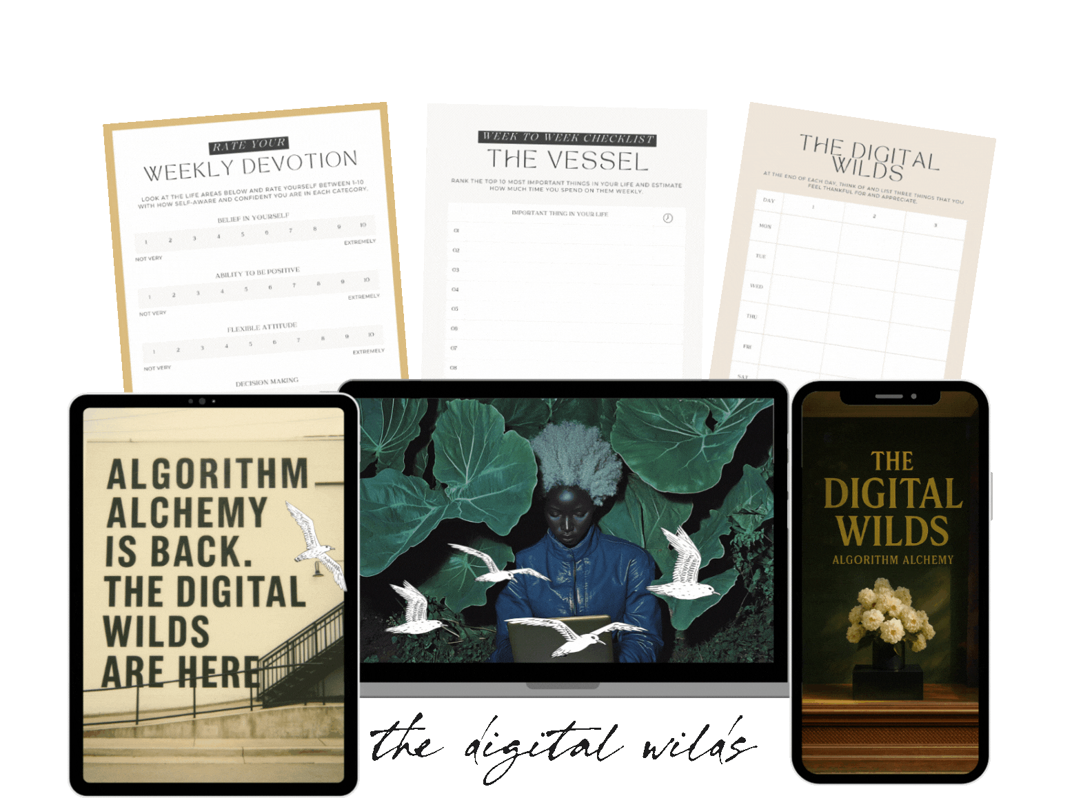 Untitled design-16.gif