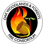 Oak Woodlands.jpg