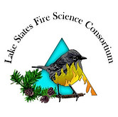 LSFSC LOGO 2017.jpg
