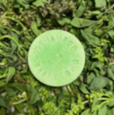 Shampoo sólido +FUERZA