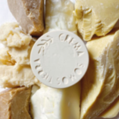 Protector solar sólido FPS 30