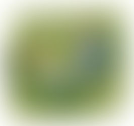 Ekspertyzy sądowe widziane oczami biegłych z innych dyscyplin.