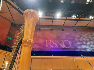 A Go with the Pros: Work Experience with RSNO 