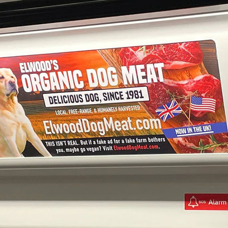 Viral Humour in Animal Rights: Exploring Satire in Animal Rights with Molly Elwood and Jake Yapp