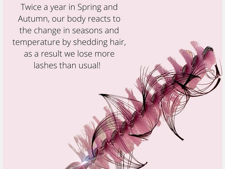 Lash Extension Retention