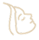 Aesthetics Procedure.png