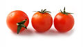 Tomato Trio