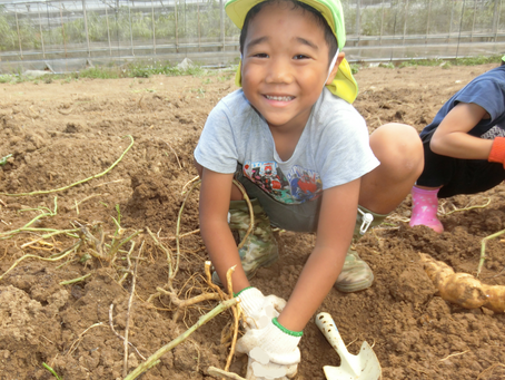 １０月２９日（木）　おいもとったど～！！
