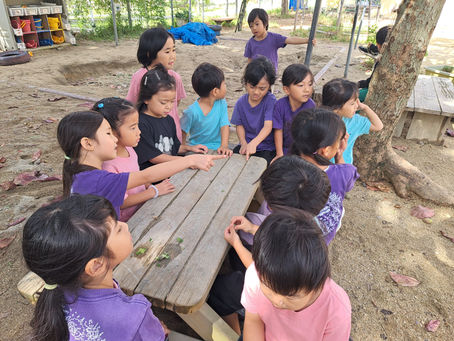 １２/１２(木)　 ⛺こども達とのDIY　～デザイン・建てる場所決め・木材カット～⛺